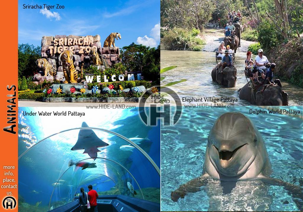 Hideland - The Luxury Tropical Villa Pattaya Εξωτερικό φωτογραφία